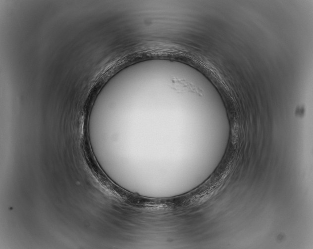 X0000101140454200806270740