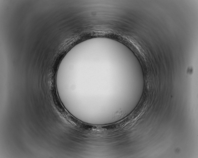 X0000101140455200806270740