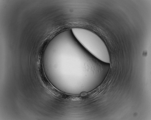X0000101140456200806270740