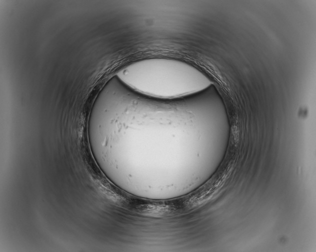 X0000101140458200806270740