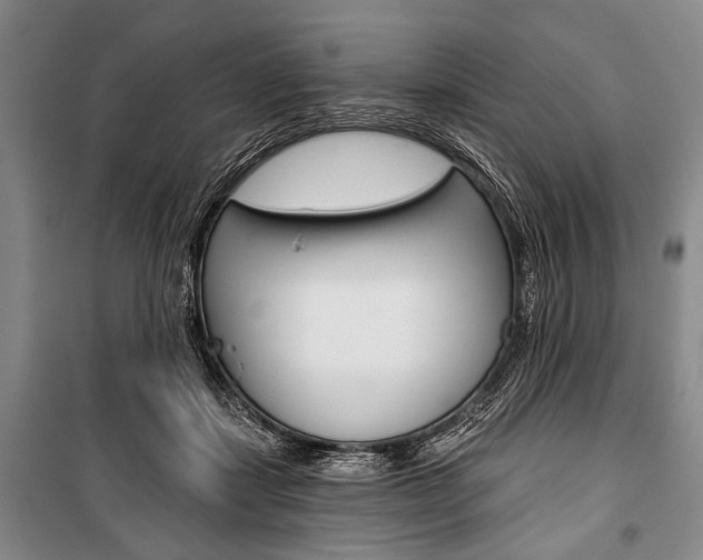 X0000101140459200806270740