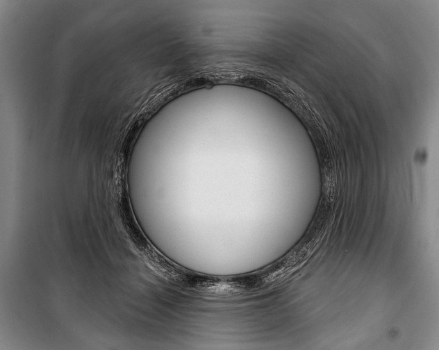 X0000101140460200806270740