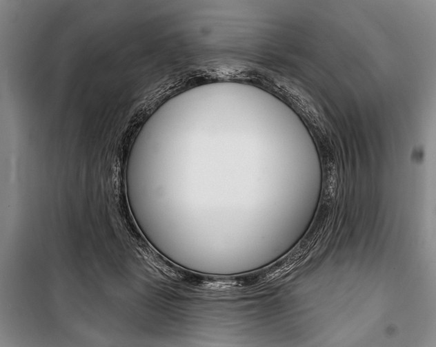 X0000101140461200806270740