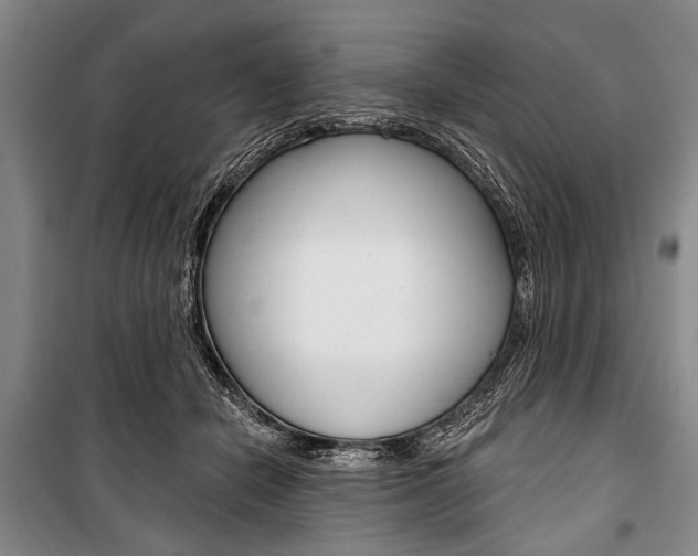 X0000101140462200806270740