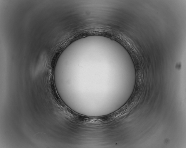X0000101140463200806270740