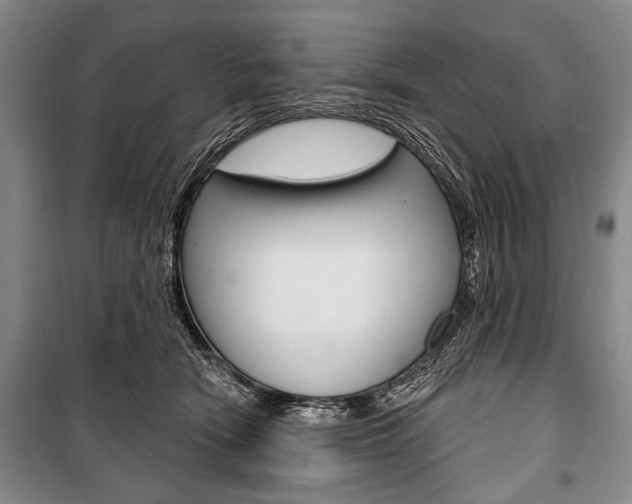 X0000101140466200806270740