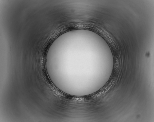 X0000101140469200806270740