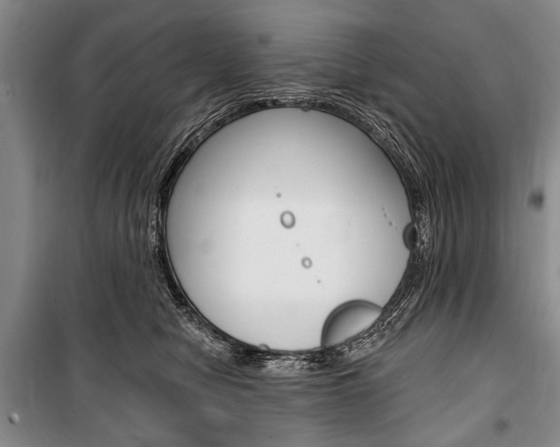 X0000101140470200806270740