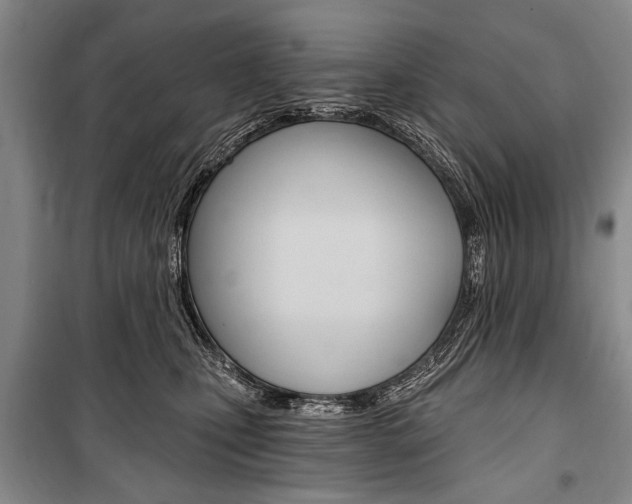 X0000101140471200806270740