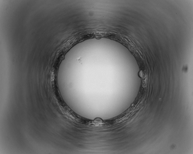 X0000101140472200806270740
