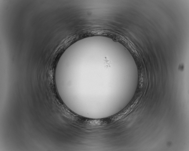 X0000101140473200806270740