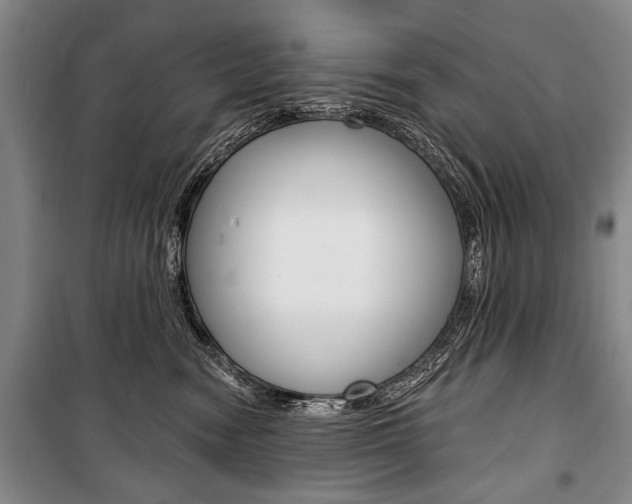 X0000101140474200806270740