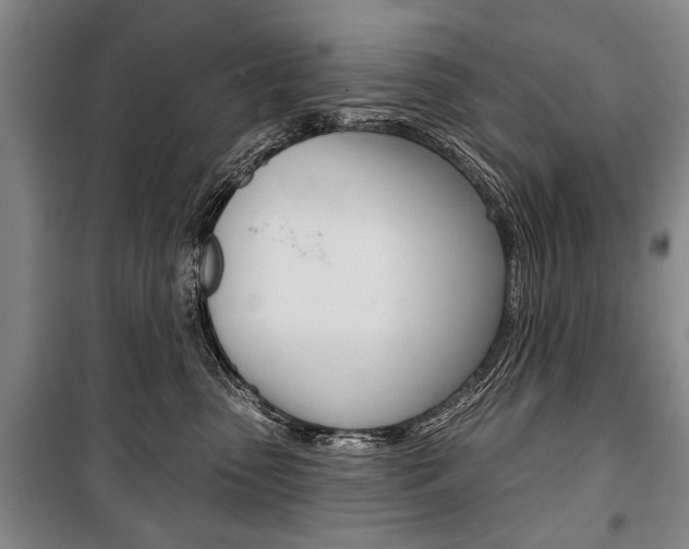 X0000101140475200806270740