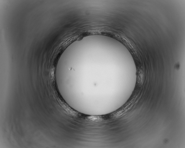 X0000101140477200806270740