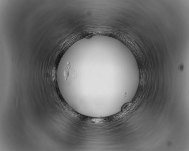 X0000101140478200806270740