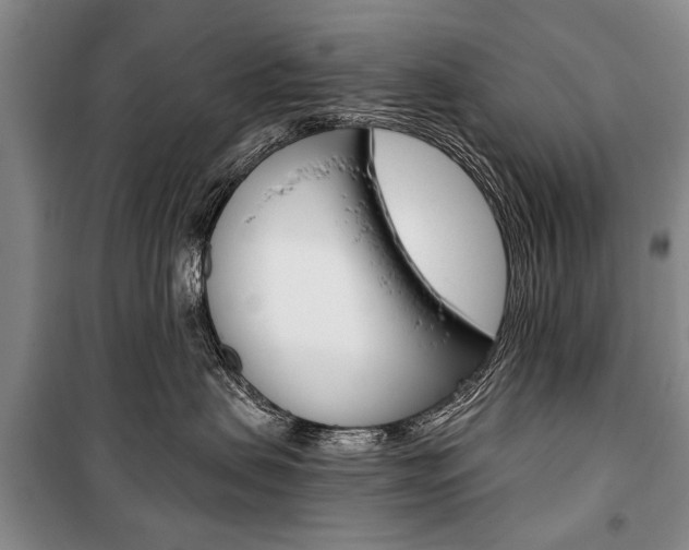 X0000101140479200806270740