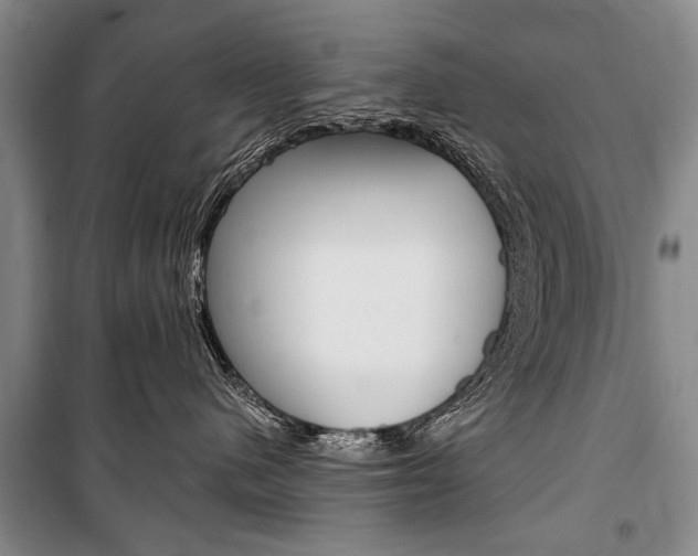 X0000101140480200806270740