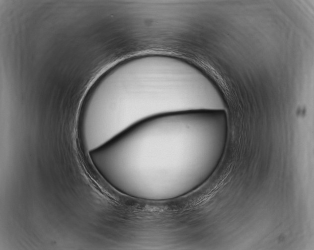 X0000101140484200806270739