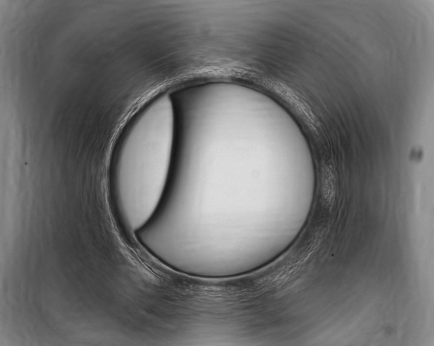 X0000101140486200806270739