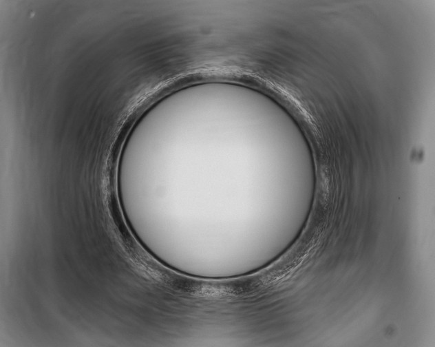 X0000101140487200806270739