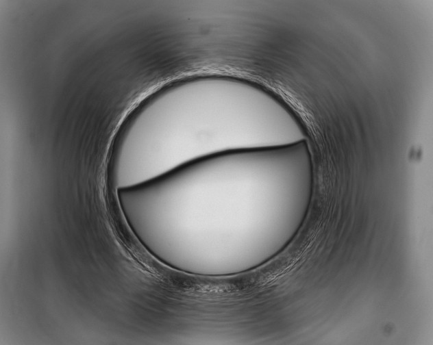 X0000101140488200806270739