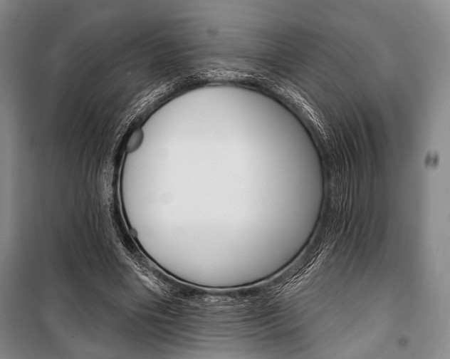 X0000101140490200806270739