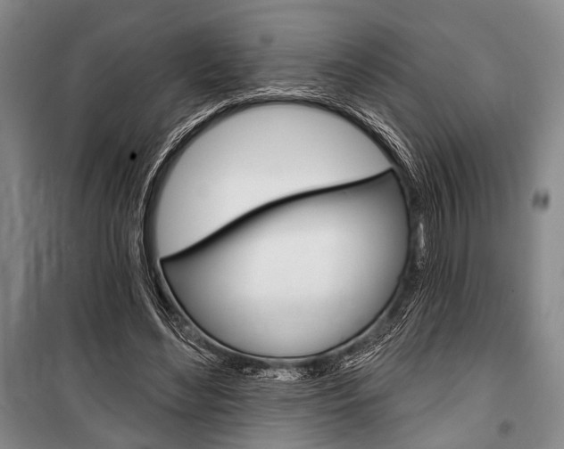 X0000101140492200806270739