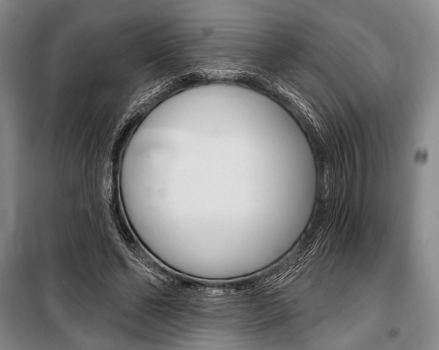 X0000101140494200806270739