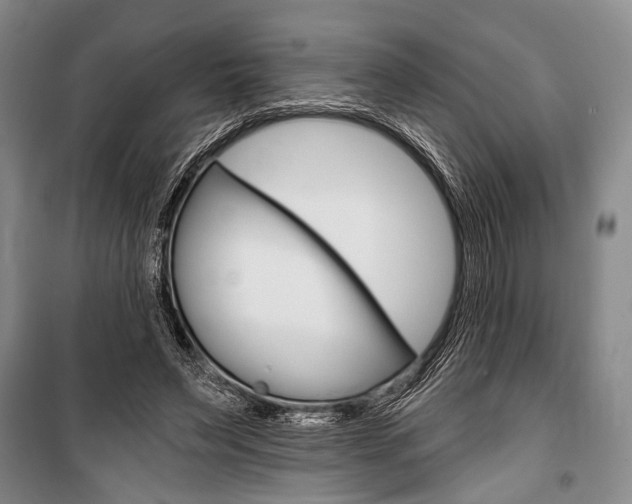 X0000101140495200806270739