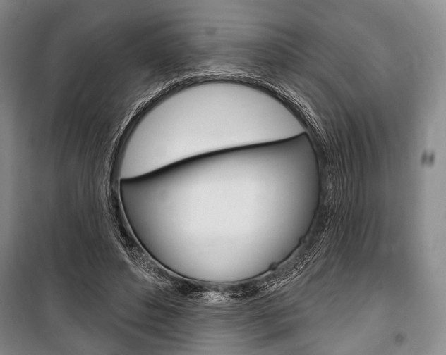 X0000101140496200806270739