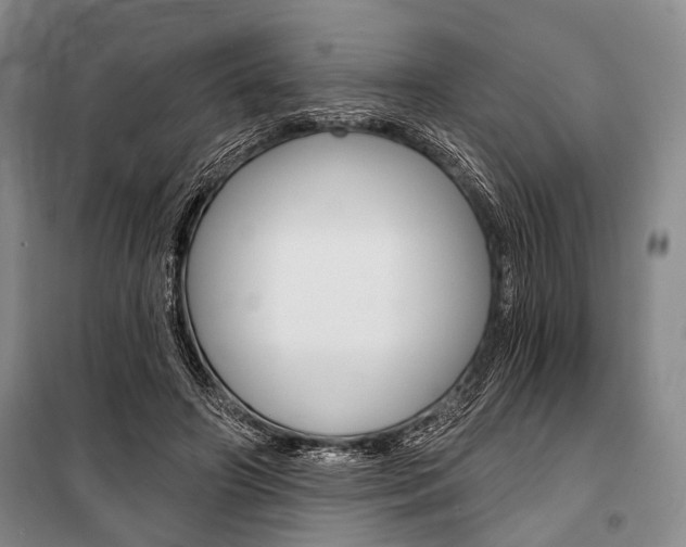 X0000101140498200806270739
