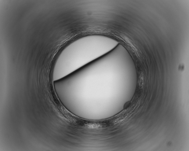X0000101140500200806270739