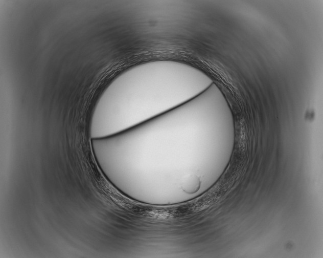 X0000101140502200806270739