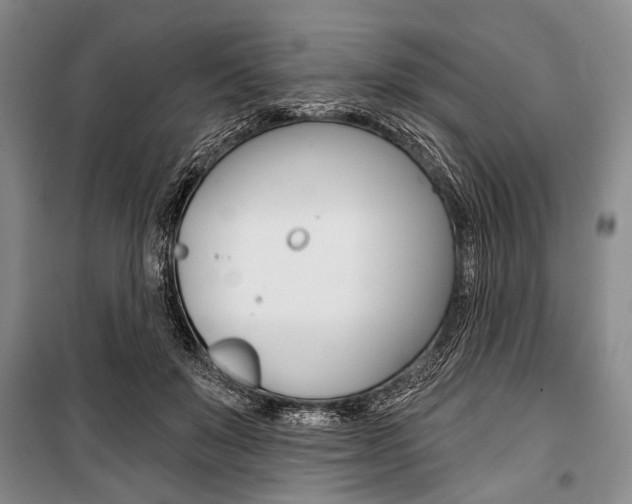 X0000101140503200806270739