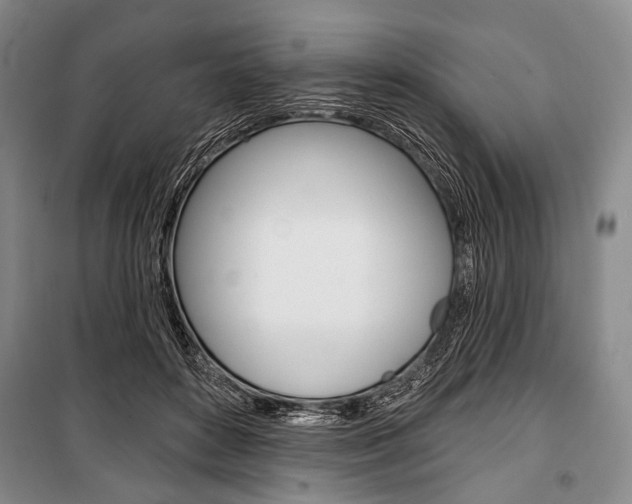 X0000101140504200806270739