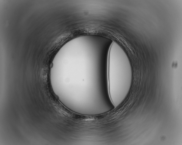 X0000101140505200806270739