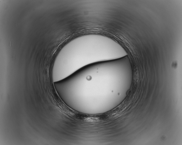 X0000101140508200806270739