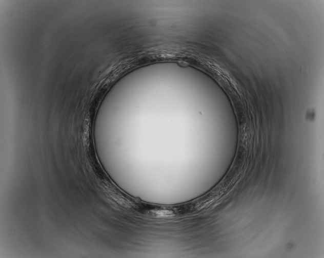 X0000101140509200806270739
