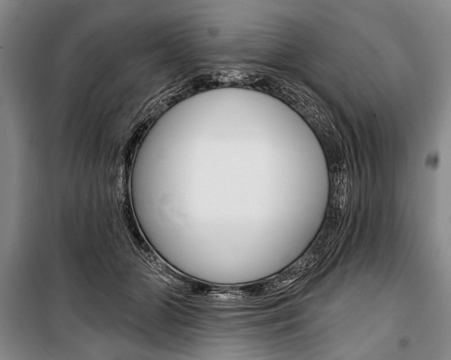 X0000101140510200806270739