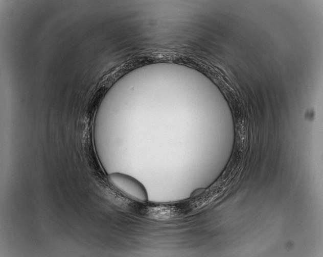 X0000101140511200806270739