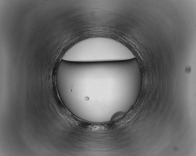 X0000101140512200806270739