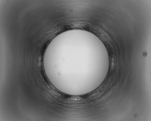 X0000101140514200806270739