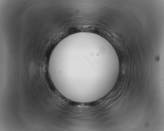 X0000101140515200806270739