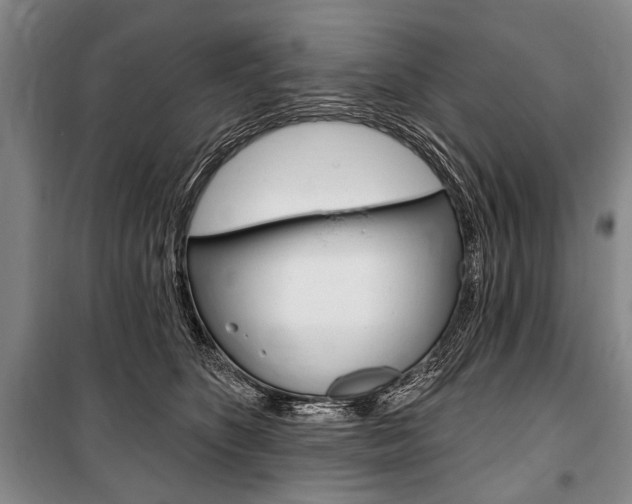 X0000101140516200806270739