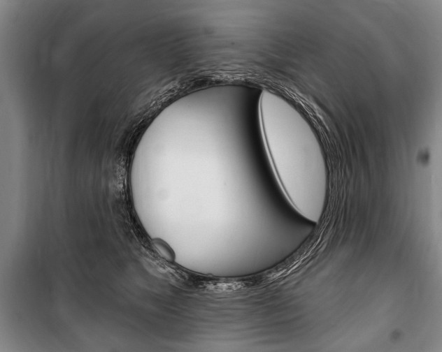 X0000101140517200806270739