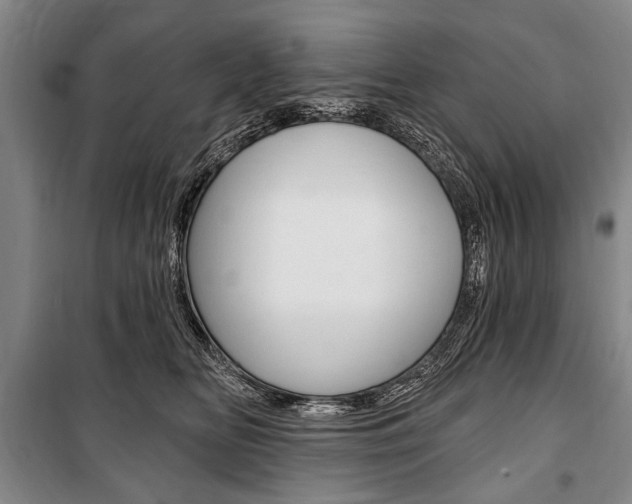 X0000101140518200806270739