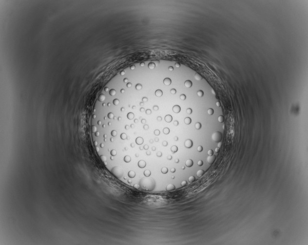 X0000101140519200806270739