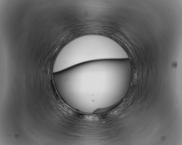X0000101140520200806270739