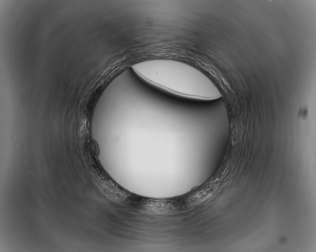 X0000101140521200806270739