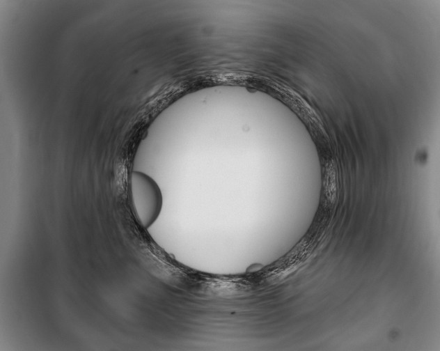 X0000101140523200806270739
